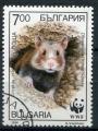 Timbre de BULGARIE 1994  Obl  N 3574  Y&T  Hamster