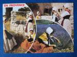 CP Provence - Provenales au Puits et dans les Lavandes ( crite )