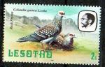Lesotho Yvert N520 Neuf 1982 Oiseau Pigeon biset
