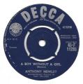 SP 45 RPM (7")   Anthony Newley  "  Strawberry fair   "  Angleterre