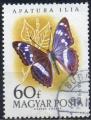 HONGRIE N 1324 o Y&T 1959 Papillons (Grand Mars)