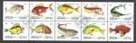 Oman - NOI 3-12  Fish / peche