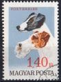 HONGRIE N 1906 o Y&T 1967 Chiens (Fox terrier)