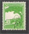 Palestine - Scott 64