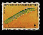 Cte Ivoire 1986 - Y&T 763 - oblitr - poisson bichir sell