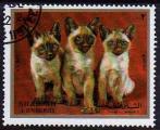 Sharjah 1972 - Chats/Cats, 2 RL - Poste arienne/Airmail - Mi 1391 