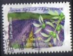 timbre France 2009 - YT A 303 - Flore des rgions du Sud - l 'olivier 	