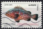 France 2019 Oblitéré Poissons de Mer Mérou brun Epinephelus marginatus Y&T 1691