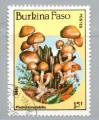 Burkina Faso 1985  Y&T 676     M 1054     Sc 743     Gib 820