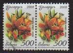 Bliorussie/Belarus 2008 - Fleur/Flower : lis/lilly, pair(e) - YT 630 x 2 