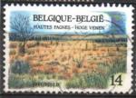 Belgique/Belgium 1991 - Le parc naturel des Hautes Fagnes  - YT 2413 