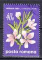 ROUMANIE -1970 - Fleurs - Yvert 2520 Oblitr