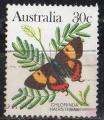 Australie 1983; Y&T n 829; 30c, faune, insecte, papillon
