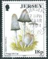 Jersey - Y&T 0633 (o) - APP7 -