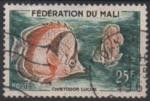 Mali (Fdration) 1960 - Poisson/Fish: Chaetodon luciae - YT 6 