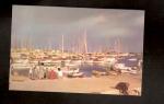 CPSM 06 : Cannes , le Port ( carte offerte par Pelletier )