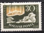 EUHU - 1959 - Yvert n 1268 - Icebergs, pingouins et lumire polaire