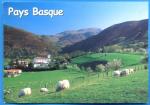 CPM PAYS BASQUE Moutons