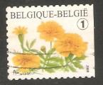 Belgium - SG 4174b   flower / fleur