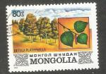 Mongolia - Scott 1269   tree / arbre