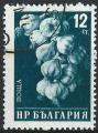 Bulgarie - 1958 - Y & T n 938 - O.