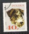 Poland - Scott 1637   dog / chien