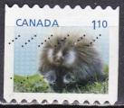CANADA N 2804 de 2013 oblitr "le porc-pic"