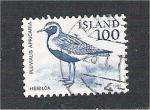 Iceland - Scott 544  bird / oiseau