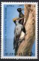 COREE DU NORD N 1506 o Y&T 1978 Oiseaux de Core (Dryocopus richardsi tristram)
