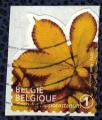Belgique 2012 Oblitr Feuilles d'Arbres Marronnier d'Inde Aesculus Hippocastanu