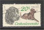 Czechoslovakia - Scott 1896   dog / chien