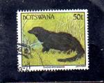 Botswana oblitr n 673 Mangouste BO18455