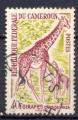 Timbre  Rpublique Fdrale du Cameroun   1962 - 64 Obl   N 353   Y&T  Girafes