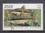 GUINEE - Oblitr - 1998 -  Poissons d'aquarium