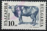 Bulgarie 1991 Oblitr Used Animaux Bos primigenius taurus Cow Bovin SU