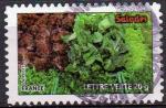 Adhsif N 740 - Lgumes - Salades - cachet rond