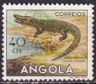 angola - n 361  neuf* - 1953