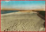 Gironde ( 33 ) Bassin d'Arcachon : La Dune du Pilat - Carte crite 1980 BE