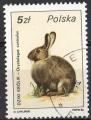Pologne 1986; Y&T n 2830; 5z, faune, Lapin de garenne