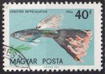 EUHU - 1962 - Yvert n 1497 - Guppy (Lebistes reticulatus)
