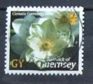 Guernesey : n 1003 obl