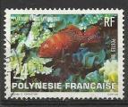 Polynsie 1981;Y&T n 162; 24F faune marine, poisson