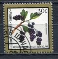 Timbre MONGOLIE  1987  Obl   N 1525  Y&T  Fruits