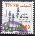 TUNISIE N 1555 de 2005 oblitr