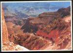 CPM Etats Unis Grand Canyon National Park Bright Angel Trail 