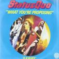 SP 45 RPM (7")  Status Quo  "  What you're proposing  "