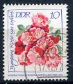 Timbre Allemagne RDA 1972  Obl   N 1468  Y&T  Fleurs Roses