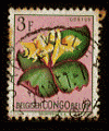 Congo Belge - oblitr - fleur (costus)