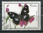 Timbre de CUBA 2000  Obl  N 3853   Y&T    Papillon
