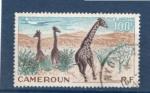 Timbre Cameroun Oblitr / 1955 / Y&T NPA47.
